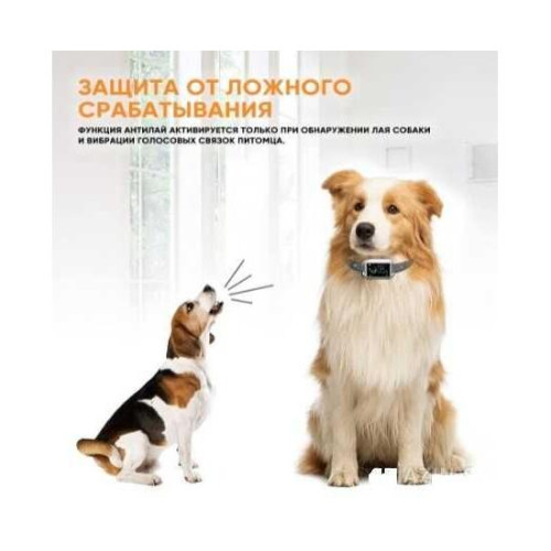 Ошейник антилай SMART-B 800