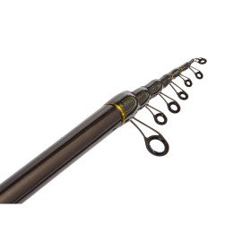 Удилище попл.с кол. Salmo Diamond BOLOGNESE LIGHT MF 4.01