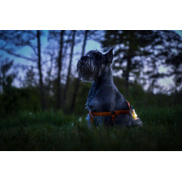 Armytek Zippy Yellow