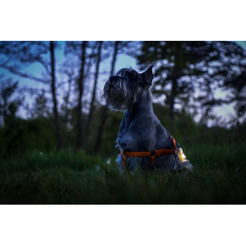 Armytek Zippy Extended Set Green