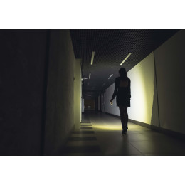 Armytek Crystal Pro UV Grey