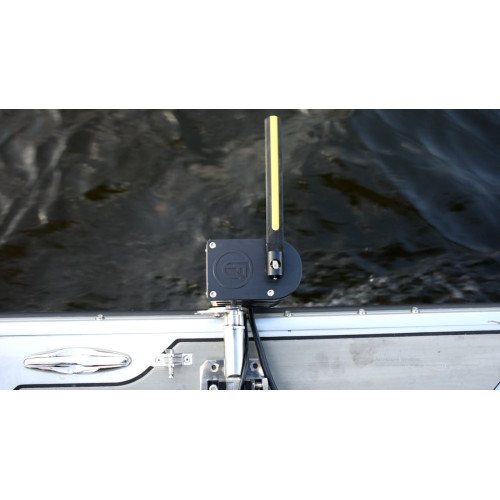 Электронный Ротатор Fish Games