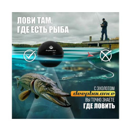 Эхолот DEEPBALANCE Smart Sonar 2+ DEEP беспроводной, черный