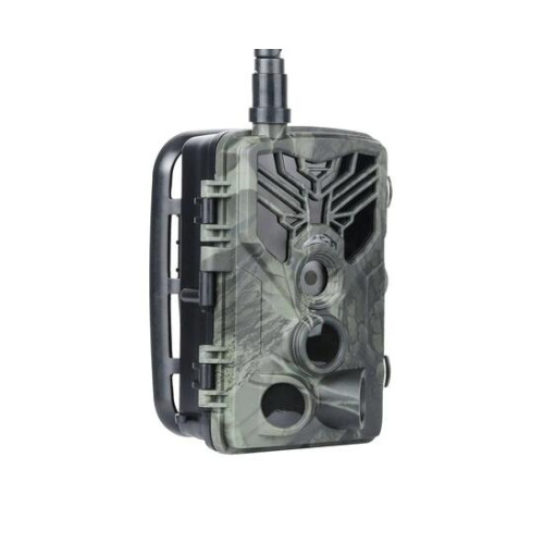 Фотоловушка ФИЛИН 800