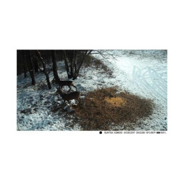 Фотоловушка 4G SUNTEK HC810Plus online