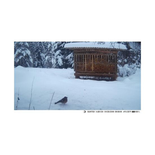 Фотоловушка 4G SUNTEK HC810Plus online