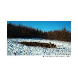 Фотоловушка 4G SUNTEK HC810Plus online