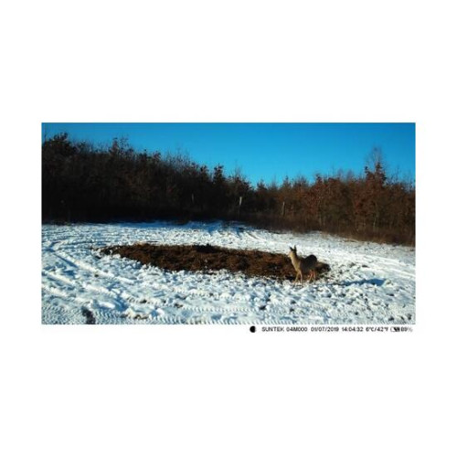 Фотоловушка 4G SUNTEK HC810Plus online