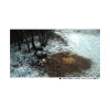 Фотоловушка 4G SUNTEK HC810Pro online