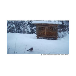 Фотоловушка 4G SUNTEK HC810Pro online