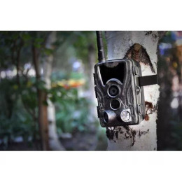 Фотоловушка ФИЛИН 300