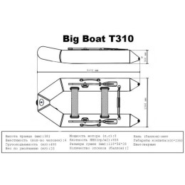 Лодка ПВХ Big Boat T310