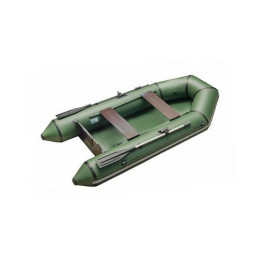 Надувная лодка Roger Standart 2800 с привальным брусом