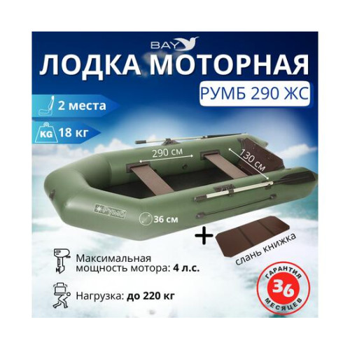 Лодка моторная Румб 290 ЖС