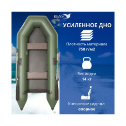 Лодка моторная Румб 290 ЖС