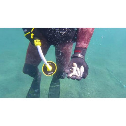 Металлоискатель для подводного поиска Tianxun PI-iking 750