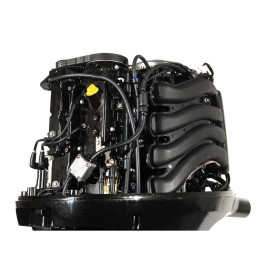 Лодочный мотор Parsun F 100 FEL-T-EFI