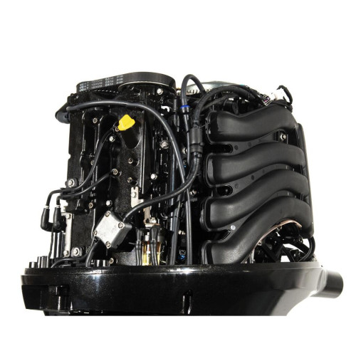 Лодочный мотор Parsun F 100 FEL-T-EFI