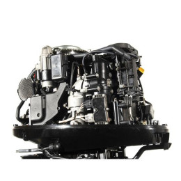 Лодочный мотор Parsun F 100 FEL-T-EFI