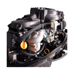 Лодочный мотор Parsun F20AFWL EFI