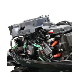 Лодочный мотор Parsun F 9.9 AFWS EFI PRO (20 л. с.)