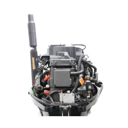 Лодочный мотор Parsun F 9.9 AFWS EFI PRO (20 л. с.)