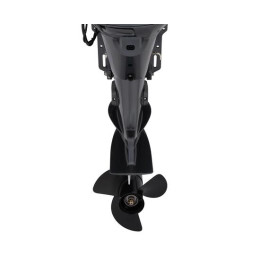 Лодочный мотор 4T Seanovo SNF 4 HS