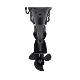 Лодочный мотор 4T Seanovo SNF 5 HAS Enduro