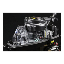 Лодочный мотор Suzuki DT 9.9 AS (2-х тактный)