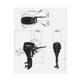 Лодочный мотор Tohatsu MFS 20 ES EFI