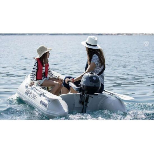 Лодочный мотор Yamaha F2.5BMHS