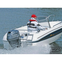 Лодочный мотор Yamaha F25GES
