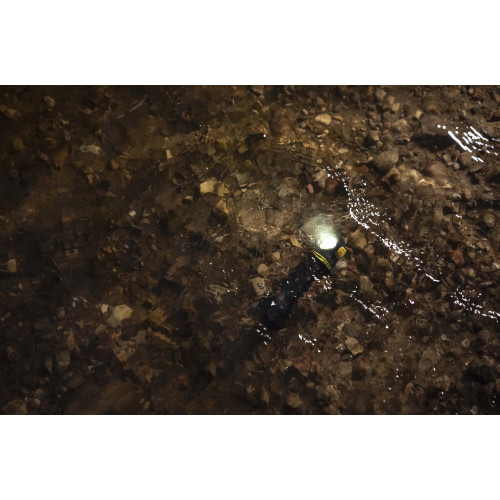 Armytek Elf C2 Max LR (Теплый свет)