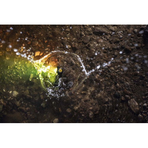 Armytek Wizard C1 WRG