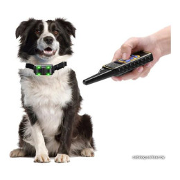 Электронный Ошейник для собак Petcomer P880