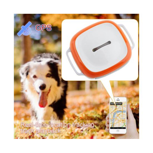 GPS Ошейник GT011