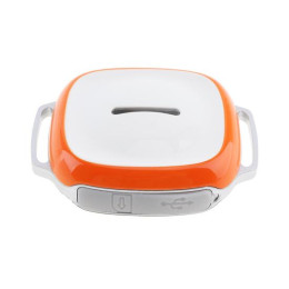 GPS Ошейник GT011