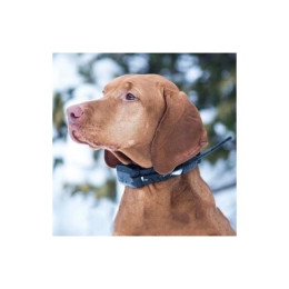 GPS Ошейник для охоты Дополнительный ошейник Dog GPS X20