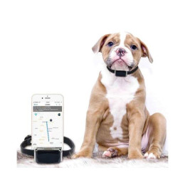 GPS Ошейник GPS365 (HaDog-03)