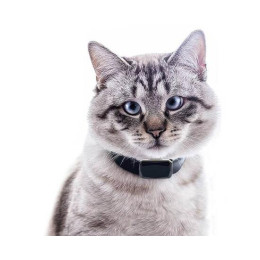 GPS Ошейник GPS365 (HaDog-03)