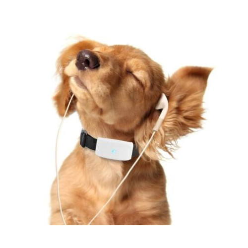 GPS ошейник TK STAR 911