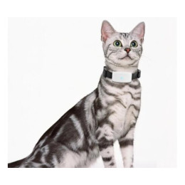 GPS ошейник TK STAR 911