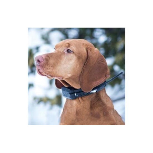 GPS Ошейник для охоты Dog GPS X20
