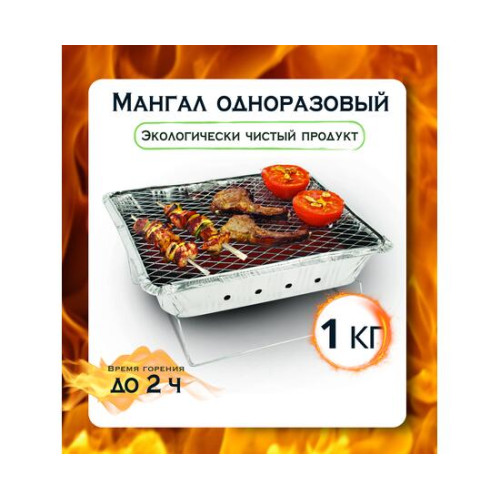 Мангал одноразовый Bay 1кг