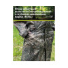 Плащ защитный FENC 3XL пиксель