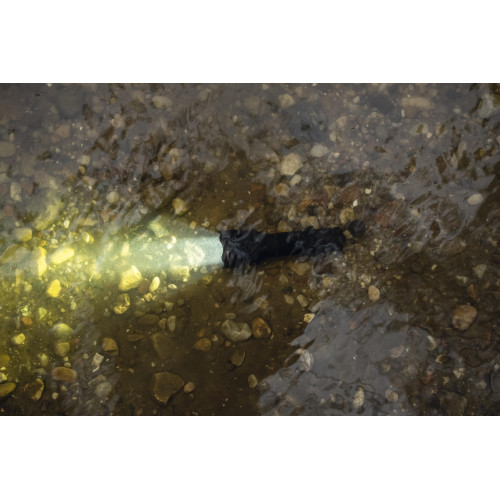 Armytek Viking (Теплый Свет)