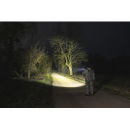 Armytek Viking (Теплый Свет)