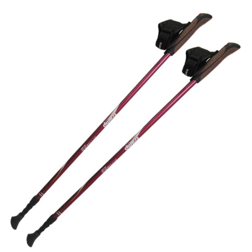 Палки для скандинавской ходьбы Tramp Fitness