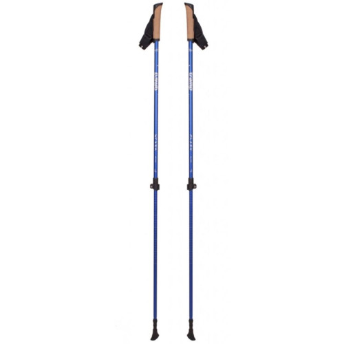 Палки для скандинавской ходьбы Tramp Flash