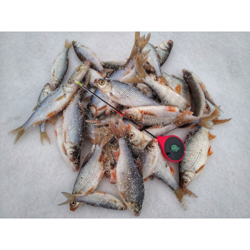 Удочка-балалайка зим. Salmo HANDY ICE ROD 24.3см красн.